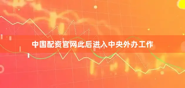 中国配资官网此后进入中央外办工作