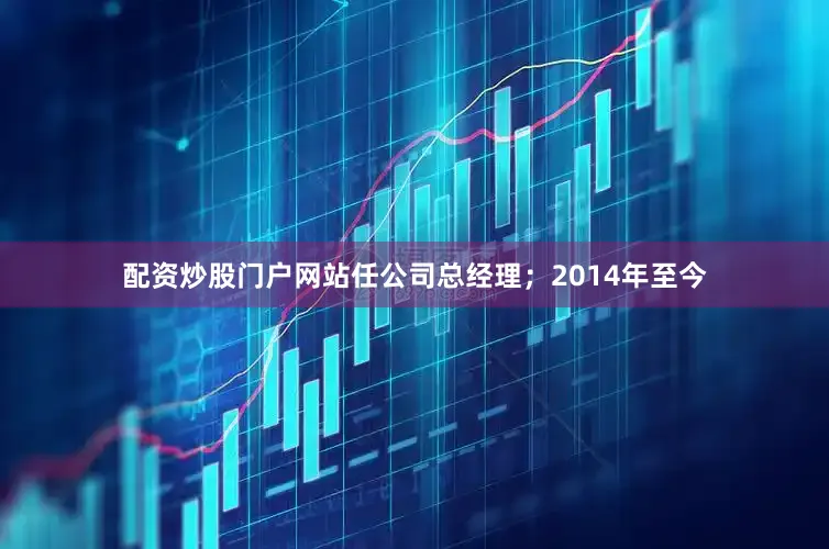 配资炒股门户网站任公司总经理；2014年至今