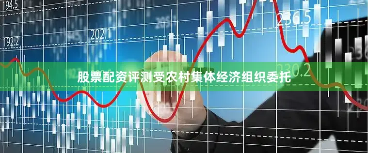 股票配资评测受农村集体经济组织委托