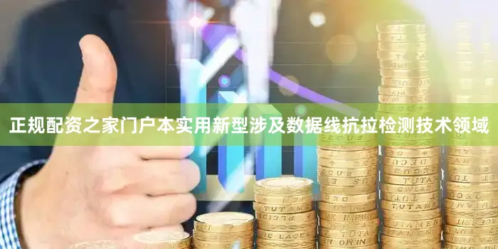 正规配资之家门户本实用新型涉及数据线抗拉检测技术领域